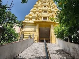 images 3 1