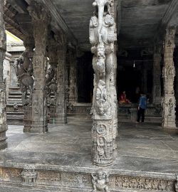 Gallery 1 (2)